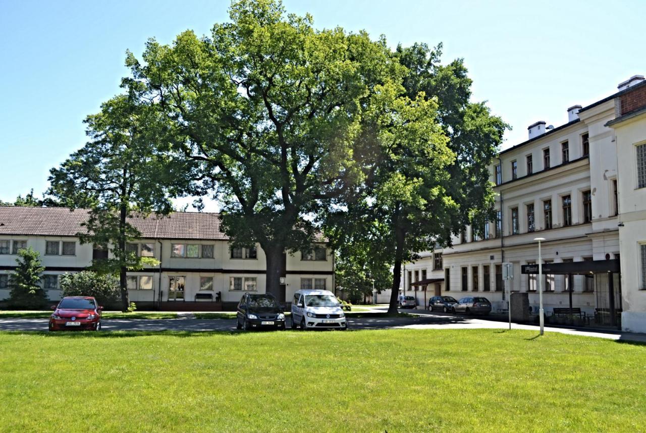 Hostel U Sv. Stepana Літомержице Екстер'єр фото